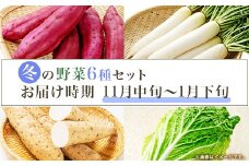 660 茨城町 冬の野菜セット さつまいも にんじん だいこん チンゲン菜 長いも 白菜