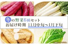 660 茨城町 冬の野菜セット さつまいも にんじん だいこん チンゲン菜 長いも 白菜