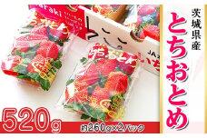 661 茨城県産いちご「とちおとめ」520g（2パック）【2026年1月中旬頃～3月下旬頃発送予定】