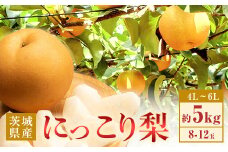 354 にっこり梨 約5kg 8～12玉 4L～6L 梨 なし 先行予約 【2025年 10月上旬ころより順次発送予定】