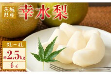 486 幸水梨 約2.5kg 6玉 3L～4L 梨 なし