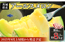 490 アールスメロン 3玉 5L 約8kg 優品以上 高級 茨城 JA水戸産 先行予約 2025年8月上旬頃から順次発送予定