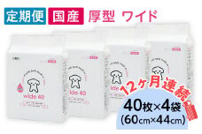 ペットシーツ 厚型 ワイド 40枚 × 4袋 国産 ペットシート 定期便 12ヶ月 連続お届け 436