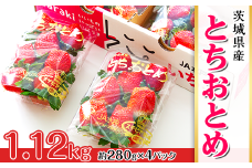 002茨城県産いちご「とちおとめ」1.12kg（4パック）【2025年1月中旬頃～3月下旬頃発送予定】