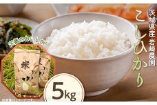 501 こしひかり 5kg 岩崎農園