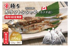 【定期便】 子持ち カラフトシシャモ ２kg (500g×4袋) 訳アリ シシャモ ししゃも カラフトししゃも 大洗 規格外 訳あり わけあり 傷 半年お届け（2ヶ月に1度 ２kg × 3回 お届け ） 