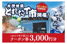 大洗地魚とれたて市クーポン券 3,000円分 (1,000円分×3) 地魚 鮮魚 活魚 朝獲れ 魚介類 漁協 大洗産 大洗 チケット