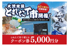 大洗地魚とれたて市クーポン券 5,000円分 (1,000円分×5) 地魚 鮮魚 活魚 朝獲れ 魚介類 漁協 大洗産 大洗 チケット