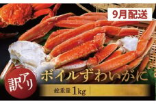 【数量限定】【2025年9月発送予定】訳あり ボイル ずわいがに 総重量 1kg (内容量 900g)規格外 不揃い 傷 足 訳アリ わけあり 脚折れ 2L～3L 大サイズ 弥七商店 かに弥 ずわい蟹 ズワイガニ かに カニ 蟹 カニ足 脚 ずわい 鍋 数量限定