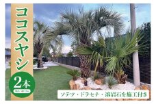 ココスヤシ 幹高約1.5m２本・ソテツ・ドラセナ・溶岩石【施工込み】 ヤシの木 ヤシ リゾート ガーデン 自宅 別荘 南国 庭木 観葉植物 大洗町