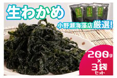 三陸産生わかめ 200g×3袋 セット 国産 サラダ 味噌汁 ワカメ 生わかめ