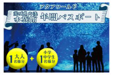 アクアワールド茨城県大洗水族館 年間パスポート 大人1名 小・中学生1名 大洗 チケット 券 アクアワールド 水族館