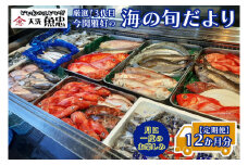 定期便 12ヶ月 鮮魚店「魚忠」 厳選鮮魚セット 大洗 厳選 旬 魚 さかな