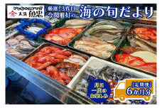 定期便 6ヶ月 鮮魚店「魚忠」 厳選鮮魚セット 大洗 厳選 旬 魚 さかな