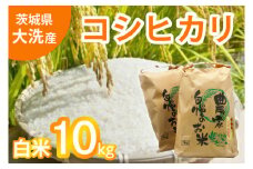 令和5年産 大洗産 コシヒカリ 白米 10kg (5kg×2袋） お米 茨城 精米 こめ 米 茨城県産米