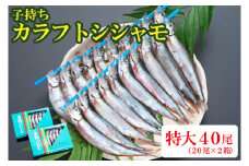 ししゃも 子持ち カラフトシシャモ 特大 40尾（20尾×2箱） 子持ちシシャモ カラフトししゃも 大洗