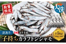 【数量限定】 子持ち カラフトシシャモ 5kg （500ｇ×10袋） 訳あり シシャモ カラフトししゃも 大洗 規格外 訳アリ わけあり 傷