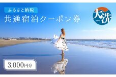 大洗町 共通 宿泊 クーポン 3,000円分 関東 茨城