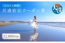 大洗町 共通 宿泊 クーポン 12,000円分（3,000円×4枚） 関東 茨城