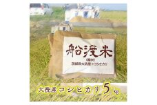 令和6年産 米 コシヒカリ 5kg 舟渡米 茨城 大洗 国産 白米 精米