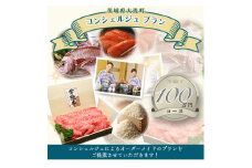 ZZ003_【提案型】あなただけのコンシェルジュプラン（100万円コース）
