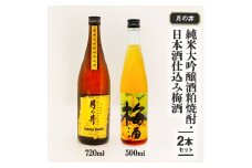 純米大吟醸 酒粕焼酎 720ml 日本酒 仕込み 梅酒 500ml 2本 セット 月の井 大洗 地酒 酒粕焼酎 国産梅 日本酒 焼酎 茨城