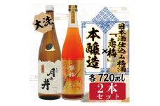 本醸造 720ml 日本酒 仕込み 梅酒 恋梅 720ml 2本 セット 月の井 大洗 地酒 国産梅 日本酒 茨城