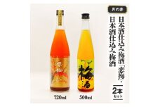 日本酒 仕込み 梅酒 恋梅720ml 梅酒 500ml 2本 セット 月の井 大洗 地酒 国産梅 飲み比べ 茨城