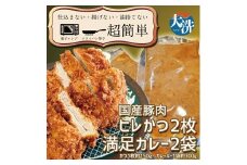揚げずにOK！ ヒレかつ カレー 2食セット カツカレー 油調済み おかず 惣菜 とんかつ 時短 簡単 クックファン