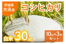 令和5年産 大洗産 コシヒカリ 白米 30kg (10kg×3袋） お米 茨城 精米 こめ 米