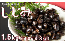 冷凍しじみ 1.5kg （500g × 3袋） 茨城県 涸沼産 カジマ シジミ 大和 しじみ 蜆 小分け