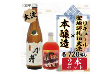 本醸造 720ml 聖地巡礼 リキュール ガルパン コラボ 720ml 2本 セット 月の井 大洗 日本酒 茨城 