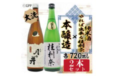 純米酒 やれば出来る桂利奈 720ml 本醸造 720ml 2本 セット ガルパン コラボ ガールズ＆パンツァー 月の井 大洗 地酒 日本酒 茨城