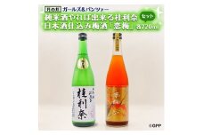 純米酒 やれば出来る桂利奈 720ml 日本酒 仕込み 梅酒 恋梅 720ml ガルパン コラボ 2本 セット 国産梅 月の井 大洗 地酒 茨城