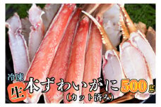 生冷 ずわいがに カット済み 500g × 1 カジマ ずわい蟹 ズワイガニ かに カニ 蟹
