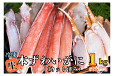 生冷 ずわいがに カット済み 1kg (500g × 2) カジマ ずわい蟹 ズワイガニ かに カニ 蟹