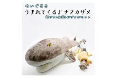 ぬいぐるみ ナヌカザメ アクアワールド 大洗 オリジナル サメ 親子 グッズ 茨城 水族館 さめ 鮫 限定