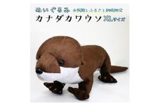 ぬいぐるみ カワウソ XL アクアワールド 大洗 オリジナル グッズ 特大 120cm 茨城 水族館 カナダカワウソ かわうそ 限定
