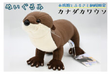 ぬいぐるみ カワウソ アクアワールド 大洗 オリジナル グッズ 茨城 水族館 カナダカワウソ かわうそ 限定