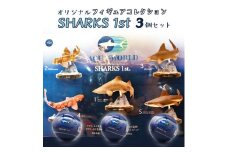 オリジナル フィギュア SHARKS 1st  3個 セット アクアワールド 大洗 飼育員 監修 オリジナル グッズ コレクション 茨城 水族館 鮫 さめ サメ 限定
