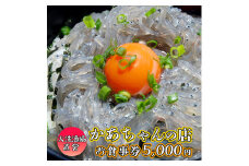 漁協直営 かあちゃんの店 5,000円 お食事券 ご優待券 地魚 シラス 生シラス丼 漁師料理 旬の魚