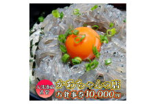 漁協直営 かあちゃんの店 10,000円 お食事券 ご優待券 地魚 シラス 生シラス丼 漁師料理 旬の魚