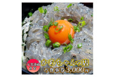 漁協直営 かあちゃんの店 3,000円 お食事券 ご優待券 地魚 シラス 生シラス丼 漁師料理 旬の魚
