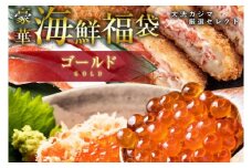 豪華 海鮮 福袋 ゴールド全9品 カジマ かに 蟹 しらす はまぐり ずわいがにコロッケ カジキメンチ アジ開き わかめ しじみ 紅鮭 魚 切身 魚介類 冷凍保存