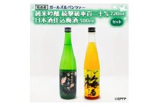 純米吟醸 続撃破率百二十％ 720ml 日本酒 仕込み 梅酒 500ml ガルパン コラボ 2本 セット 国産梅 月の井 大洗 地酒 茨城 ガールズ＆パンツァー