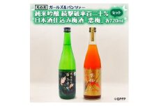 純米吟醸 続撃破率百二十％ 720ml 日本酒 仕込 梅酒 恋梅 720ml 2本 セット ガルパン コラボ 国産梅 月の井 大洗 地酒 茨城 ガールズ＆パンツァー