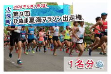 2025年6月1日（日） 大洗町第9回ひぬま夏海マラソン出走権 1名分 10km 茨城県 チケット スポーツ マラソン 参加