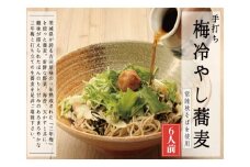 常陸秋そば 手打ち 梅冷やしそば 生蕎麦 6人前 生蕎麦 三年梅 梅 うめ 国産 生 そば 蕎麦 寿多庵