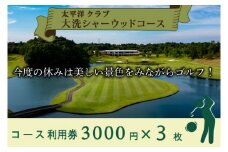 太平洋クラブ大洗シャーウッドコース 利用券 9,000円分 (3,000円×3枚) ゴルフ コース 全日利用可 ゴルフ場 大洗 茨城 プレー券