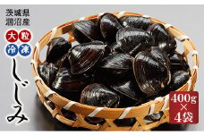 涸沼産 大粒 冷凍 シジミ 1.6kg （400ｇ×4袋） しじみ 蜆 大和しじみ ヤマトシジミ 大玉 砂抜き済 冷凍 味噌汁 スープ 魚貝類 貝 オルニチン コハク酸 小分け